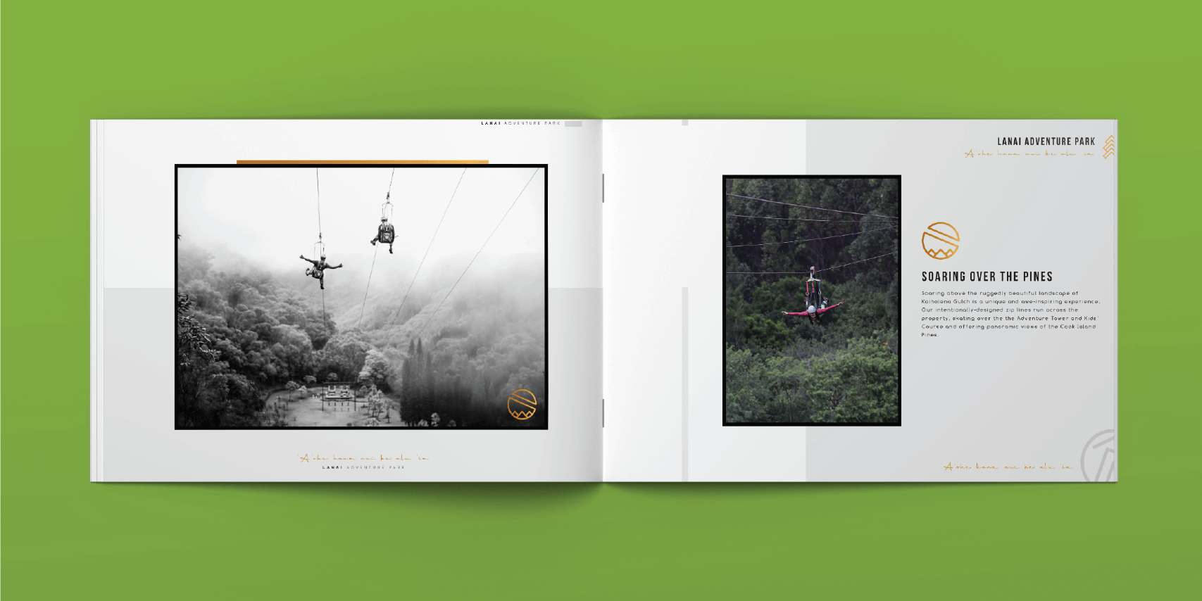 lanai-adventure-park-logo-book