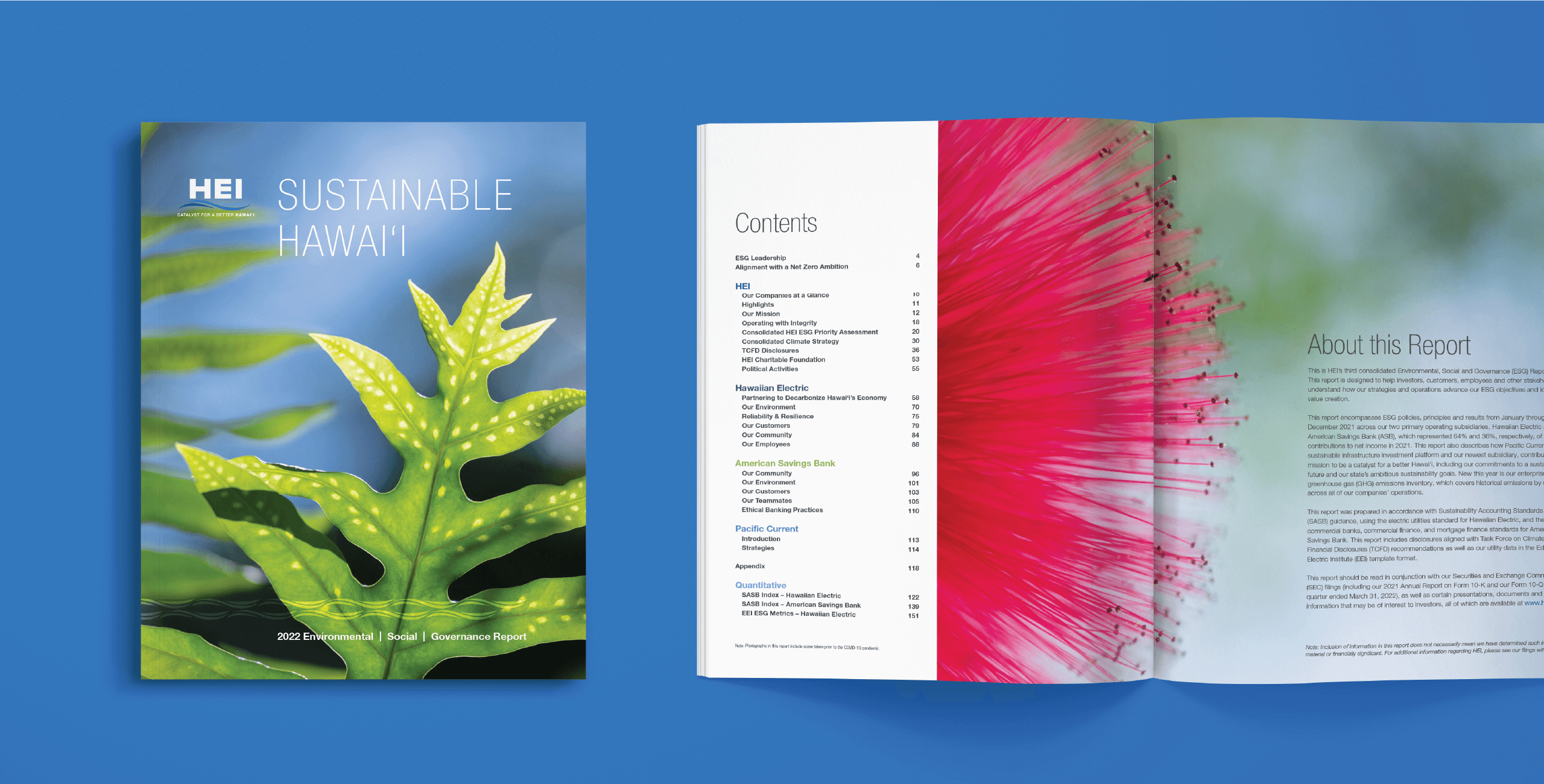HEI annual report cover