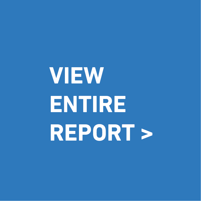 view entire report