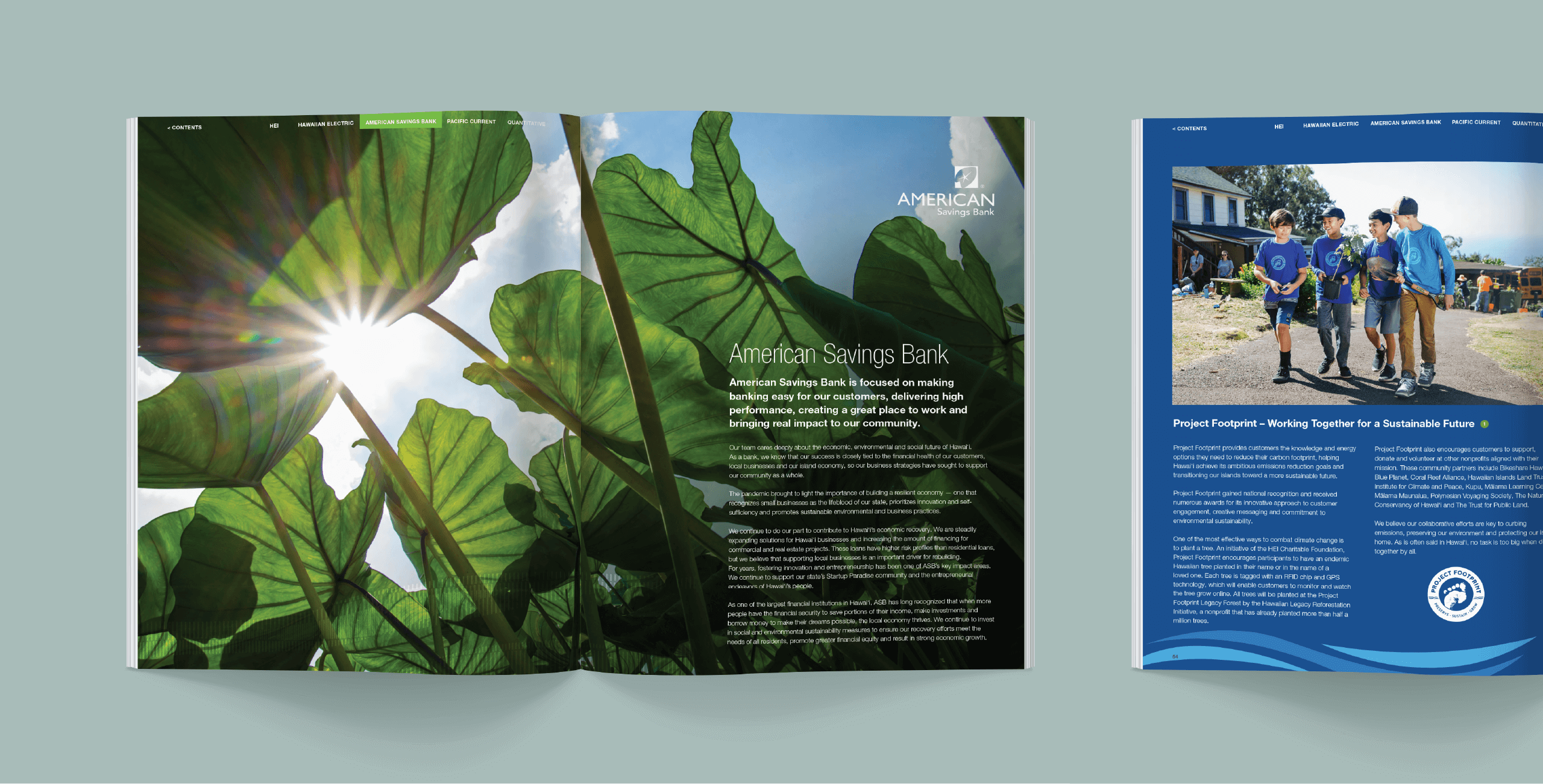 HEI annual report spreads